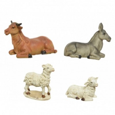 Animal ox, donkey, sheep...